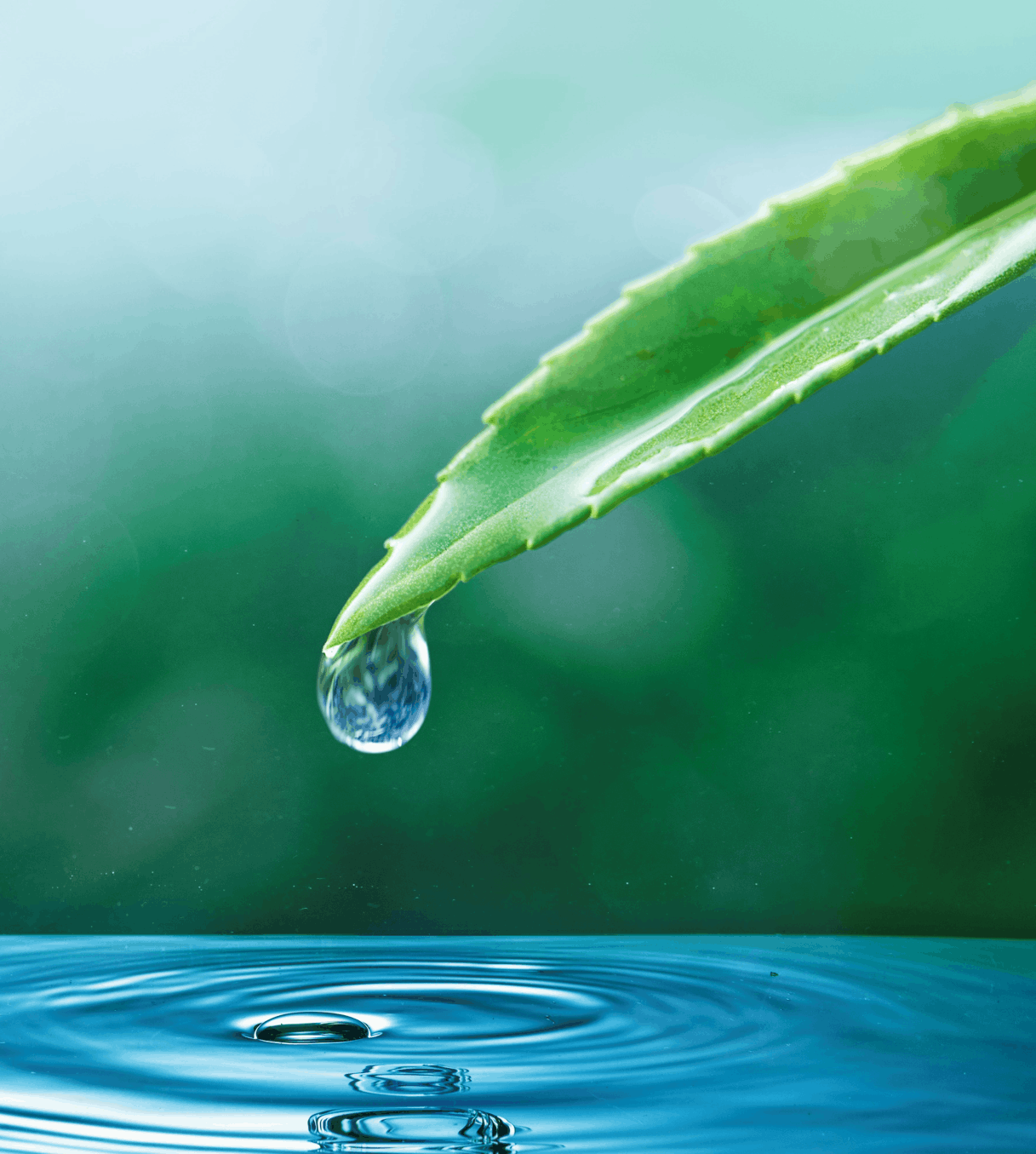 Water infrastructure